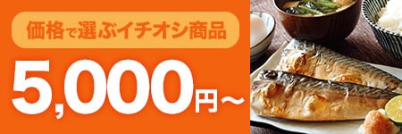 5000円~
