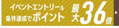 ポイント36倍