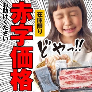 訳あり赤字大特価