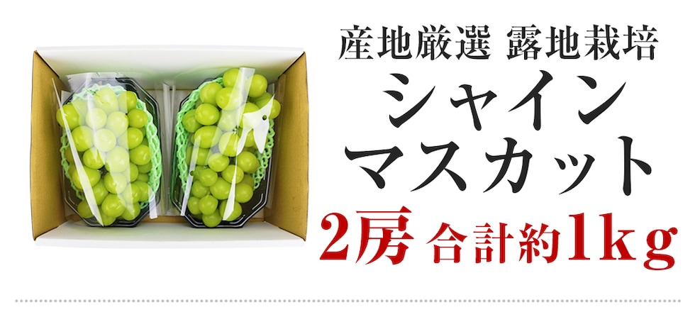 dショッピング |シャインマスカット 約1kg 2房 秀 産地厳選 化粧箱 白ぶどう 葡萄 ブドウ 種無し 露地栽培 送料込み 送料無料 冷蔵便  お取り寄せグルメ 食品 ギフト お歳暮 | カテゴリ：果物の販売できる商品 | 食の達人森源商店 (061kdm-136)|ドコモの通販サイト