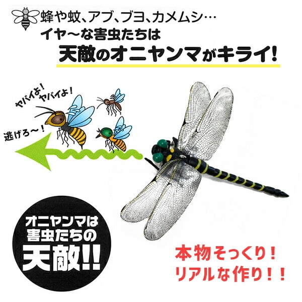 dショッピング |天敵で虫除け オニヤンマ リアル フィギュア M-42 薬剤不使用 虫よけ 害虫 蜂 蚊 アブ ブヨ 虫 昆虫 ストラップ クリップ  安全ピン とんぼ トンボ アウトドア キャンプ 遠足 ガーデニング 釣り ゴルフ ベランダ 高芝ギムネ製作所 【送料無料】 | カテゴリ ...