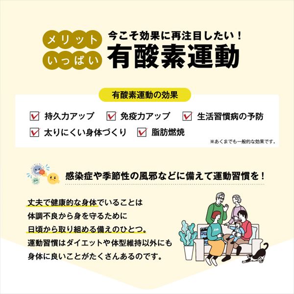 dショッピング |1年保証 サイドステッパー フィーア 保護マット付き