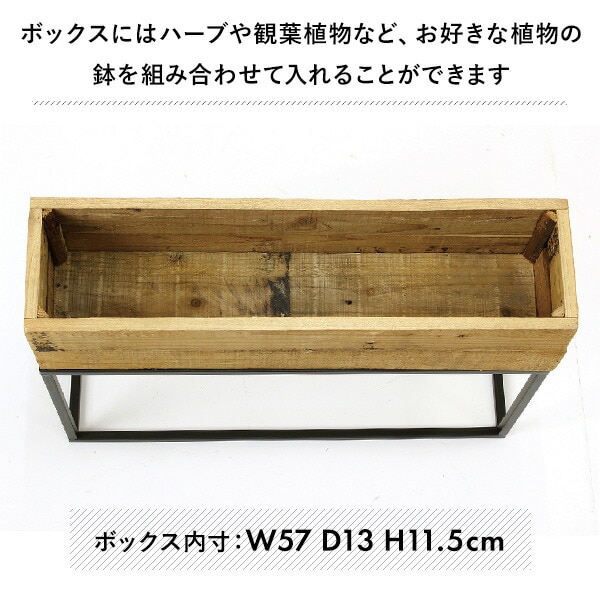 菩提樹木＋プラントボックススタンド 菩提樹木＋プラントボックススタンド