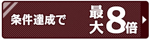 ポイント8倍