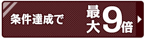 ポイント9倍