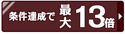 ポイント13倍