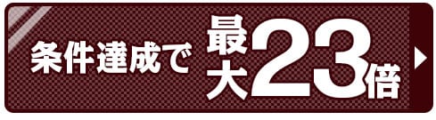 ポイント23倍