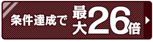 ポイント26倍