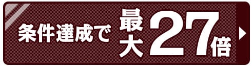 ポイント27倍