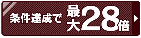 ポイント28倍