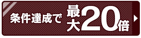 ポイント20倍