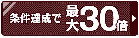 ポイント30倍