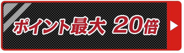 ポイント20倍