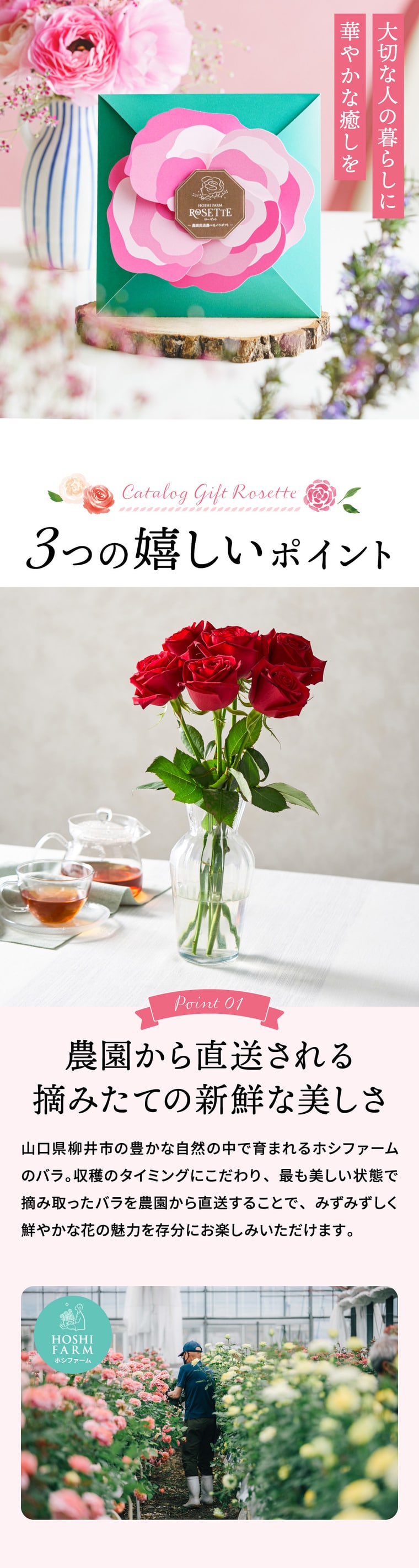 農園から直送される摘みたての新鮮な美しさ