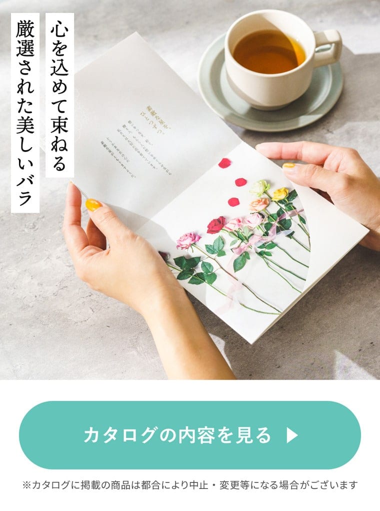 カタログの内容を見る