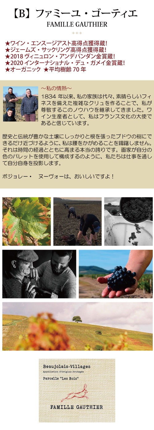 私の情熱