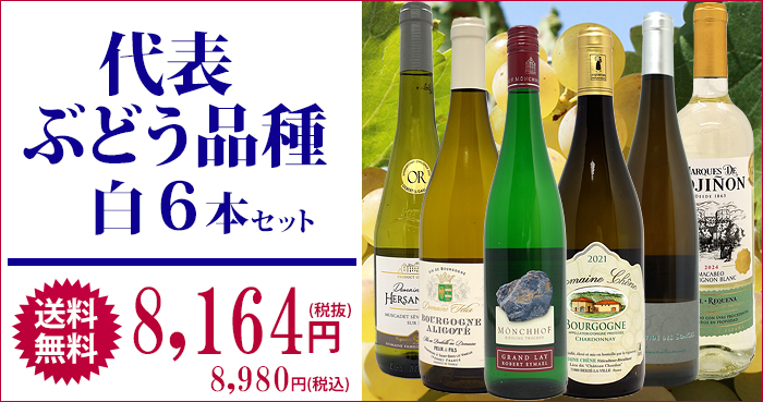 タイトル