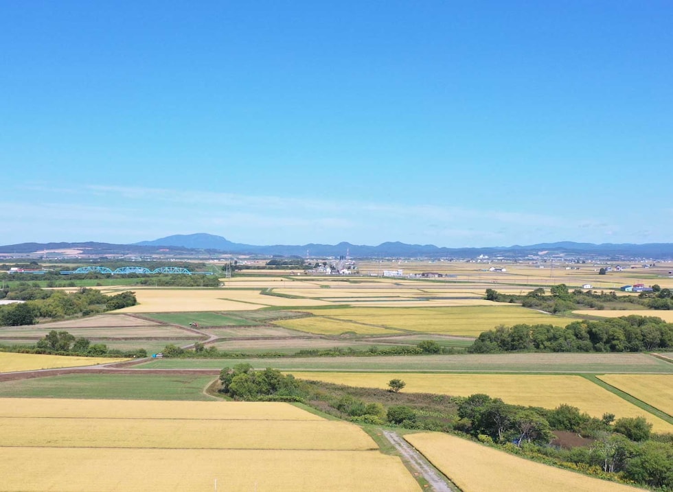 上川・空知地方の収穫風景