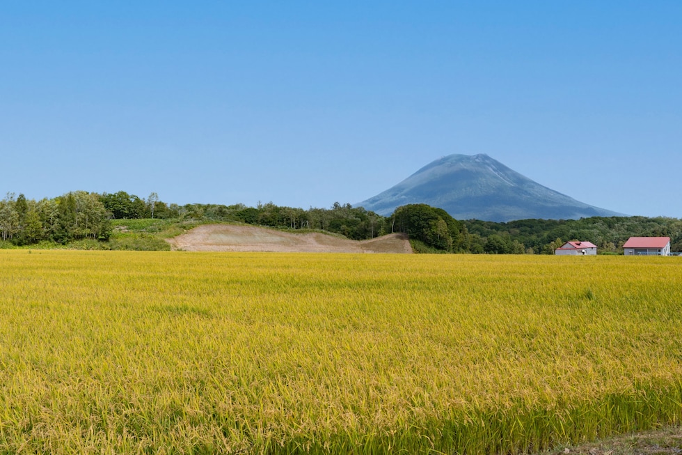 羊蹄山が一望できるニセコ町の田園風景