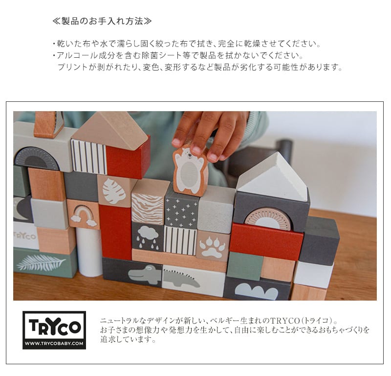 TRYCO トライコ ブロックセット50ピース TYTRY353001  