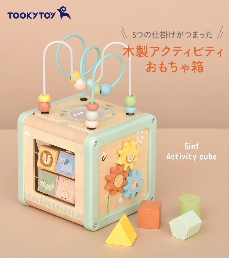 Tooky Toy トゥーキートイ 5in1 アクティビティキューブ