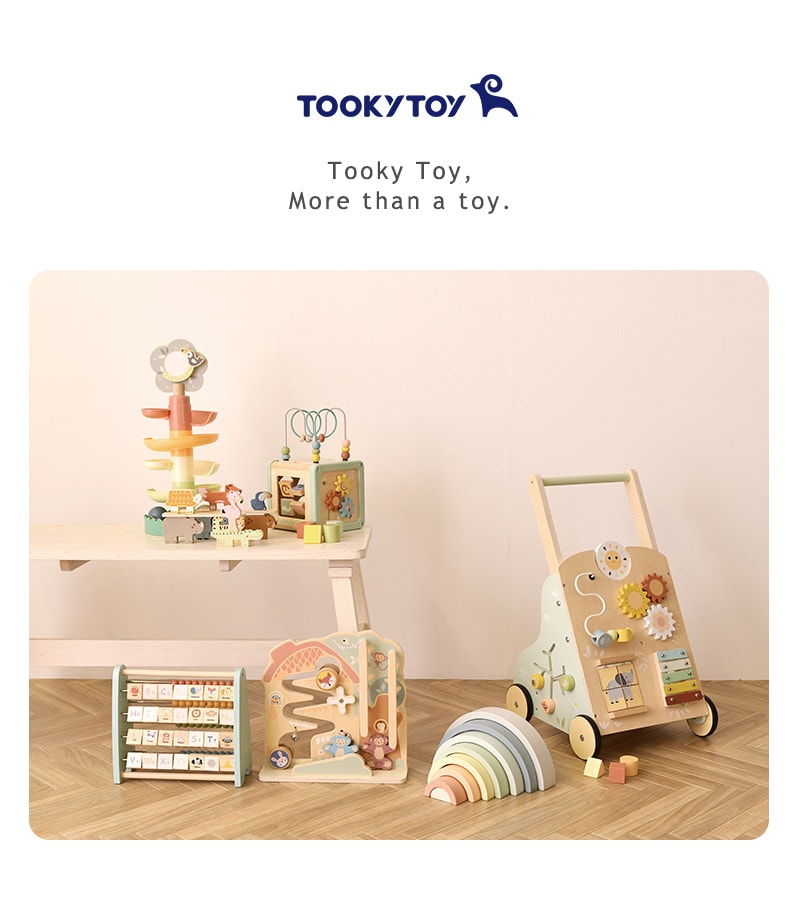 Tooky Toy トゥーキートイ 5in1 アクティビティキューブ