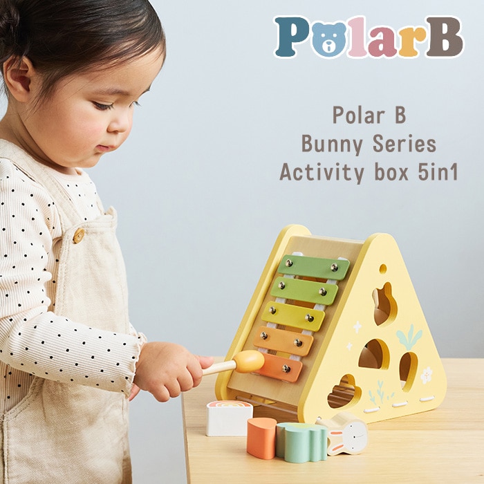 Polar B ポーラービー バニーシリーズ アクティビティボックス 5in1 TYPR44291