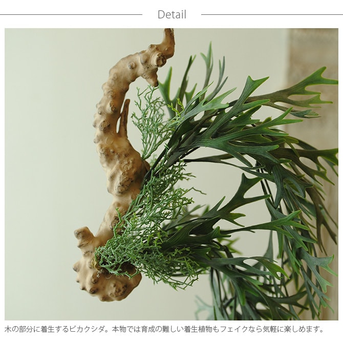 Brown. ブラウン フェイクグリーン ビカクシダ 着生 ブルー 観葉植物 フェイクグリーン イミテーションフラワー 造花 ディスプレイ ボタニカル 植物 多肉植物 インテリア おしゃれ