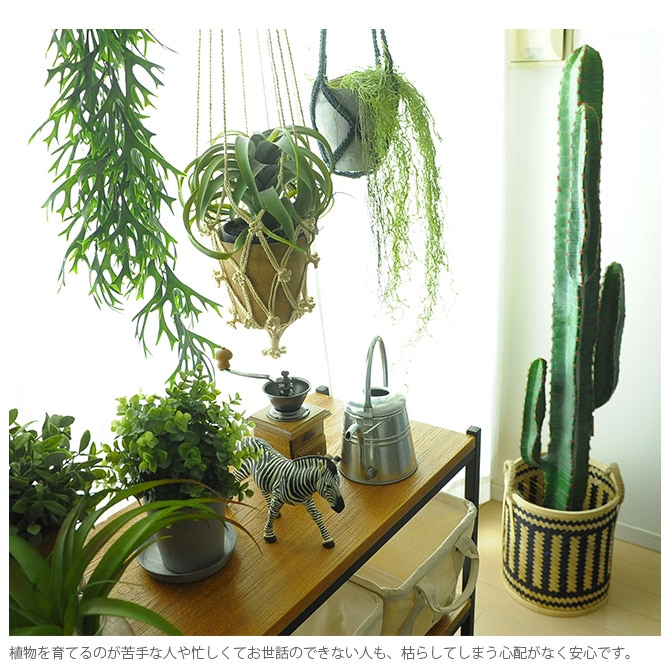 Brown. ブラウン フェイクグリーン ビカクシダ 着生 ブルー 観葉植物 フェイクグリーン イミテーションフラワー 造花 ディスプレイ ボタニカル 植物 多肉植物 インテリア おしゃれ