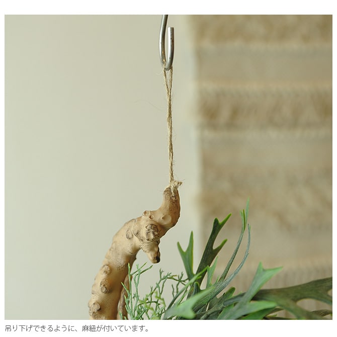 Brown. ブラウン フェイクグリーン ビカクシダ 着生 ブルー 観葉植物 フェイクグリーン イミテーションフラワー 造花 ディスプレイ ボタニカル 植物 多肉植物 インテリア おしゃれ