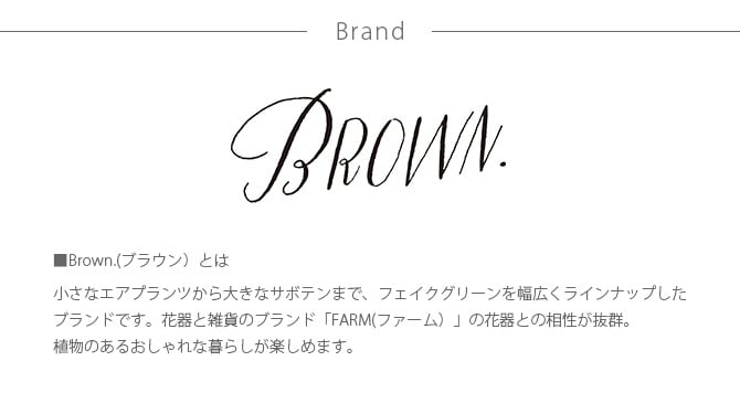 Brown. ブラウン フェイクグリーン ビカクシダ 着生 ブルー 観葉植物 フェイクグリーン イミテーションフラワー 造花 ディスプレイ ボタニカル 植物 多肉植物 インテリア おしゃれ