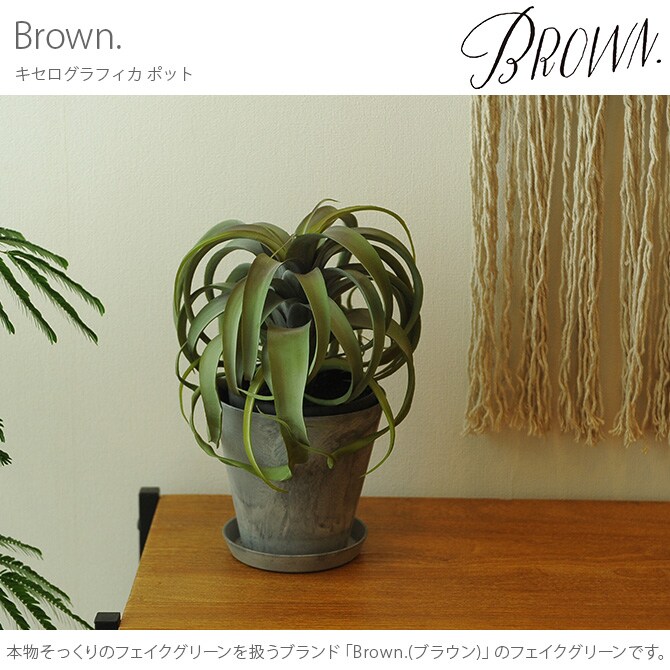 Brown. ブラウン キセログラフィカ ポット 観葉植物 フェイクグリーン イミテーションフラワー 造花 ディスプレイ ボタニカル 植物 多肉植物 インテリア おしゃれ
