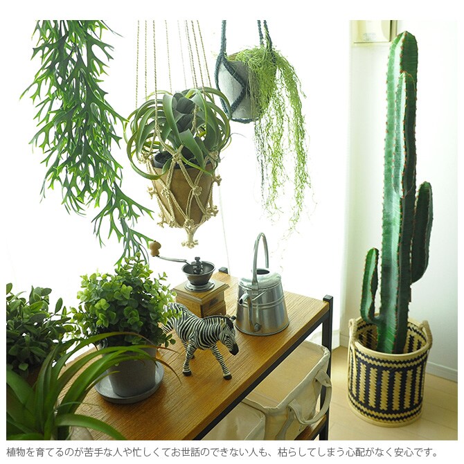 Brown. ブラウン キセログラフィカ ポット 観葉植物 フェイクグリーン イミテーションフラワー 造花 ディスプレイ ボタニカル 植物 多肉植物 インテリア おしゃれ