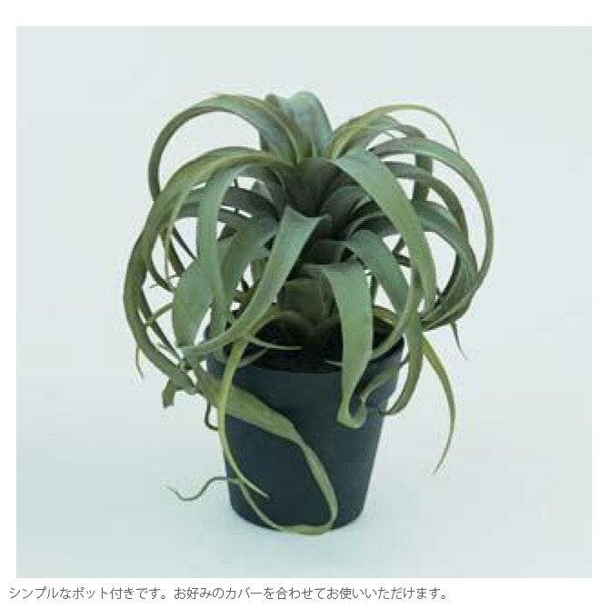Brown. ブラウン キセログラフィカ ポット 観葉植物 フェイクグリーン イミテーションフラワー 造花 ディスプレイ ボタニカル 植物 多肉植物 インテリア おしゃれ