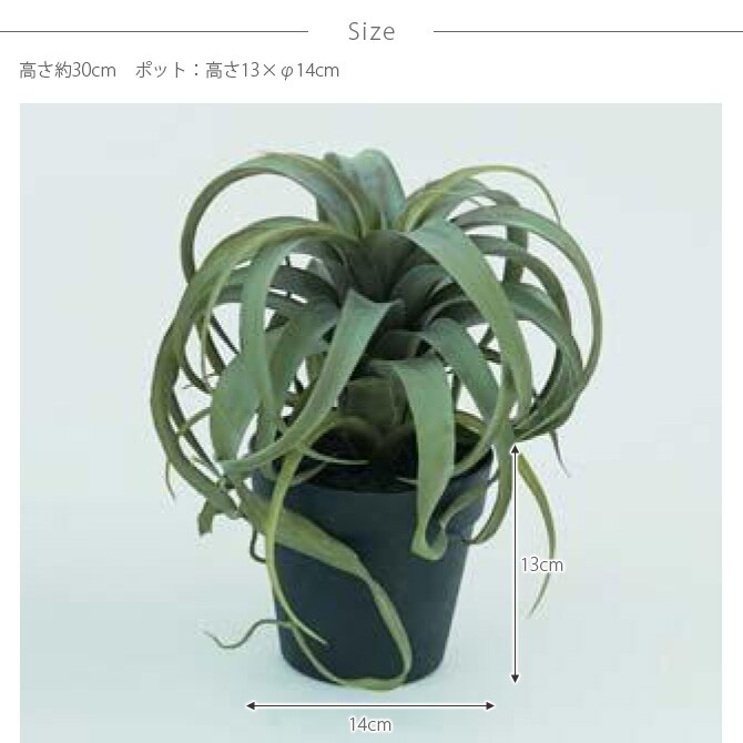 Brown. ブラウン キセログラフィカ ポット 観葉植物 フェイクグリーン イミテーションフラワー 造花 ディスプレイ ボタニカル 植物 多肉植物 インテリア おしゃれ