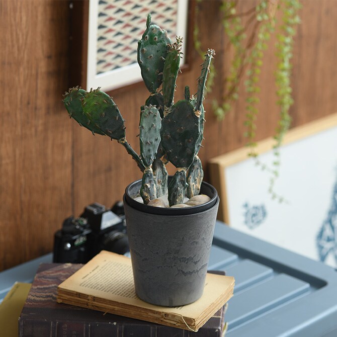 Brown. ブラウン フェイクグリーン ウチワサボテン ポット 31 観葉植物 フェイクグリーン イミテーションフラワー 造花 ディスプレイ ボタニカル 植物 多肉植物 インテリア おしゃれ