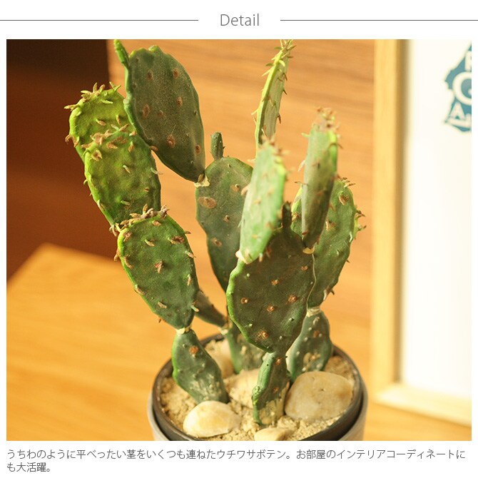 Brown. ブラウン フェイクグリーン ウチワサボテン ポット 31 観葉植物 フェイクグリーン イミテーションフラワー 造花 ディスプレイ ボタニカル 植物 多肉植物 インテリア おしゃれ