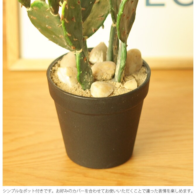 Brown. ブラウン フェイクグリーン ウチワサボテン ポット 31 観葉植物 フェイクグリーン イミテーションフラワー 造花 ディスプレイ ボタニカル 植物 多肉植物 インテリア おしゃれ