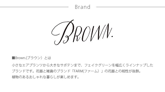 Brown. ブラウン フェイクグリーン ウチワサボテン ポット 31 観葉植物 フェイクグリーン イミテーションフラワー 造花 ディスプレイ ボタニカル 植物 多肉植物 インテリア おしゃれ