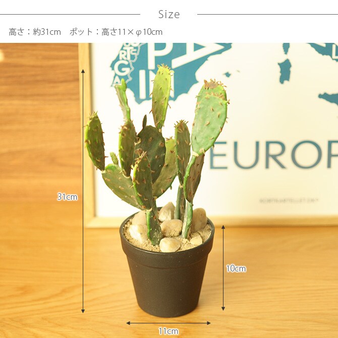 Brown. ブラウン フェイクグリーン ウチワサボテン ポット 31 観葉植物 フェイクグリーン イミテーションフラワー 造花 ディスプレイ ボタニカル 植物 多肉植物 インテリア おしゃれ