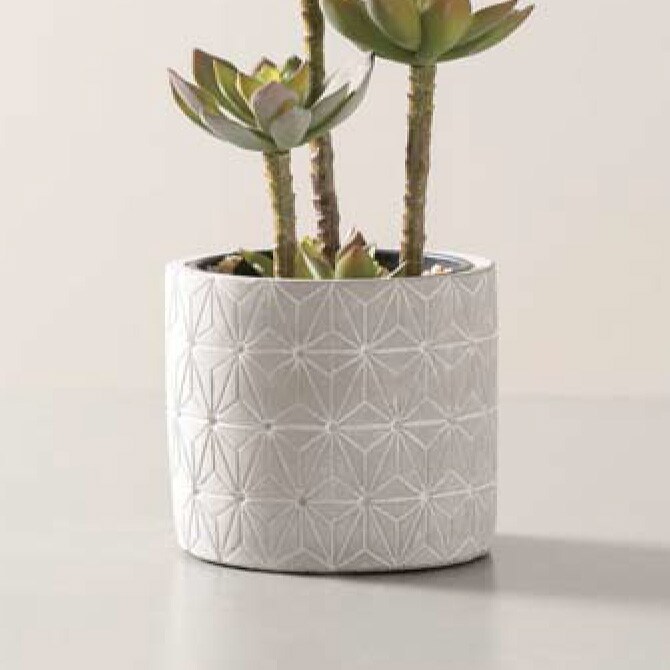 FARM ファーム セメントポットカバー アマダ 11 シリンダー  観葉植物 フェイクグリーン 鉢カバー ポットカバー ディスプレイ ボタニカル 植物 多肉植物 インテリア おしゃれ  