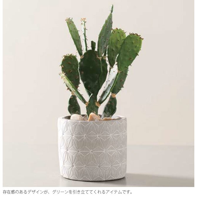 FARM ファーム セメントポットカバー アマダ 11 シリンダー  観葉植物 フェイクグリーン 鉢カバー ポットカバー ディスプレイ ボタニカル 植物 多肉植物 インテリア おしゃれ  