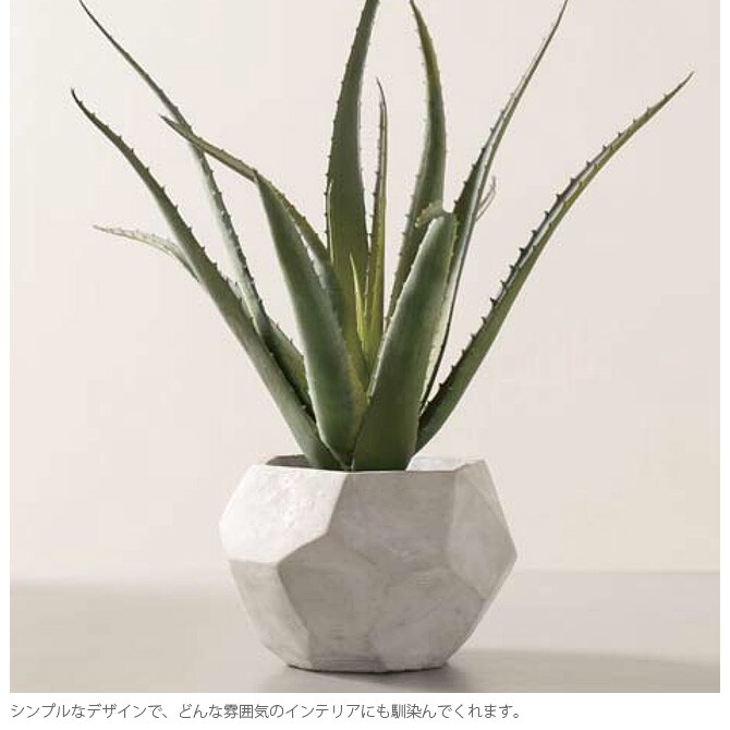 FARM ファーム ポットカバー グルレ 13 観葉植物 フェイクグリーン 鉢カバー ポットカバー ディスプレイ ボタニカル 植物 多肉植物 インテリア おしゃれ