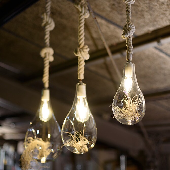 ボタニックハンギングライト L ペンダントライト ハンギングライト テラリウム LEDライト LED オブジェライト インテリア 植物 グリーン おしゃれ