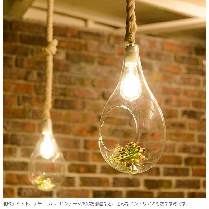 ボタニックハンギングライト L ペンダントライト ハンギングライト テラリウム LEDライト LED オブジェライト インテリア 植物 グリーン おしゃれ