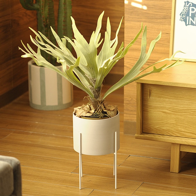 Brown. ブラウン フェイクグリーン ビカクシダ ポット 58cm 観葉植物 フェイクグリーン おしゃれ 造花 ディスプレイ ボタニカル 植物 多肉植物 インテリア おしゃれ