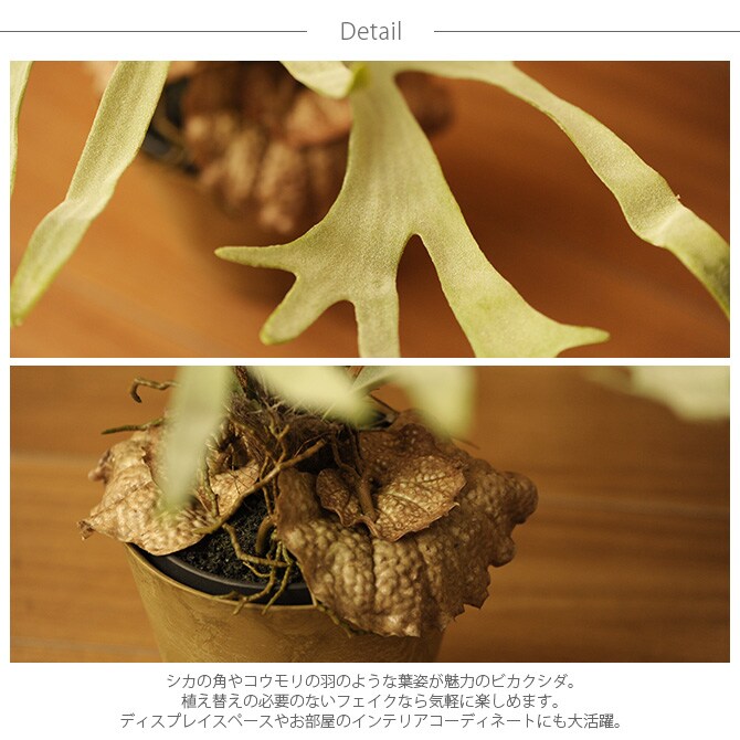 Brown. ブラウン フェイクグリーン ビカクシダ ポット 58cm 観葉植物 フェイクグリーン おしゃれ 造花 ディスプレイ ボタニカル 植物 多肉植物 インテリア おしゃれ