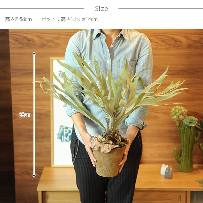 Brown. ブラウン フェイクグリーン ビカクシダ ポット 58cm 観葉植物 フェイクグリーン おしゃれ 造花 ディスプレイ ボタニカル 植物 多肉植物 インテリア おしゃれ