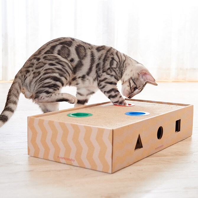 nyancoroby Box ニャンコロビー ボックスタイプ 猫 爪とぎ おもちゃ ボール 爪研ぎ 猫用おもちゃ mju: ミュー