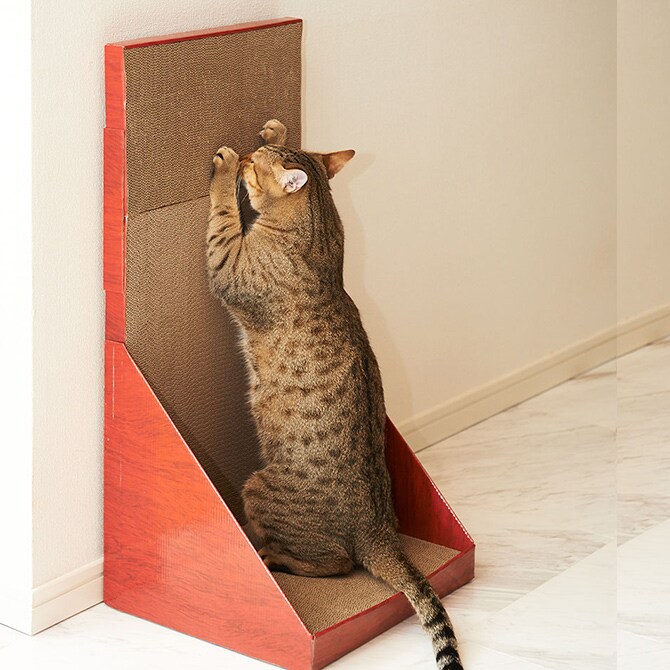 Gari Gari Wall Scratcher ガリガリウォール スクラッチャー 猫 爪とぎ 木目 壁面設置型 立てかけ 爪研ぎ つめとぎ mju; ミュー ネコ